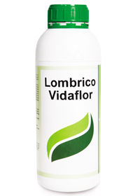 حفاظت-گلهای-بریده-شده-LOMBRICO-VIDA-flor