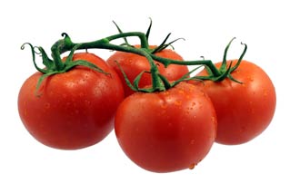 گوجه-فرنگی-گلخانه-ای