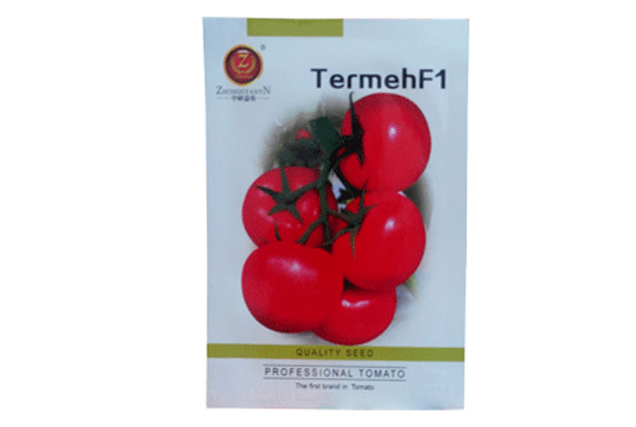 گوجه-فرنگی-گلخانه-ای-هیبرید-ترمه