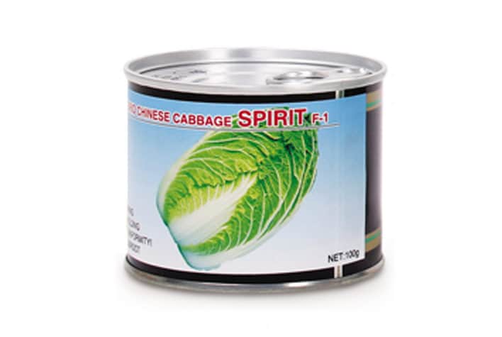 کلم-چینی-هیبرید-spirit