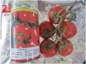 گوجه-فرنگی-روناش--دزفول-3