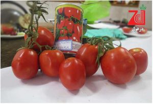 گوجه-فرنگی-روناش--دزفول-4